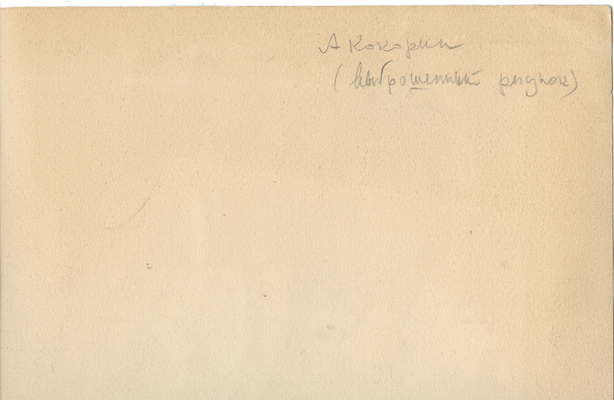 Кокорин Анатолий Владимирович. Обнаженная